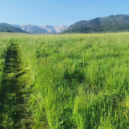 Siedlisko דירה *