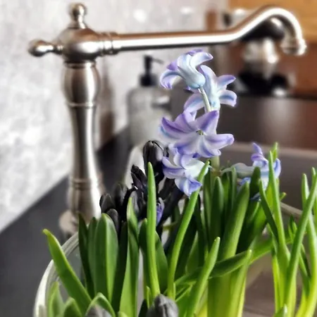 Siedlisko Appartement