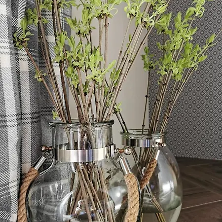 Siedlisko 考斯赛力克